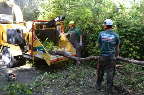 tree services Funston